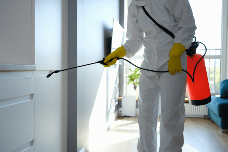 Natural Remedies for Safe Pest Control